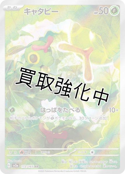 画像1: 【状態B】キャタピー【AR】{172/165} [SV2a] (1)