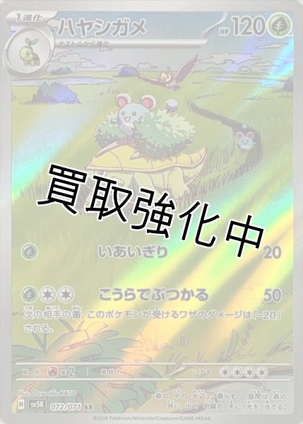 画像1: 【状態B】ハヤシガメ【AR】{072/071} [SV5K] (1)