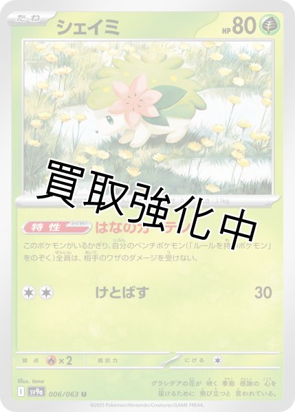 画像1: 【状態B】シェイミ【U】{006/063} [SV9a] (1)