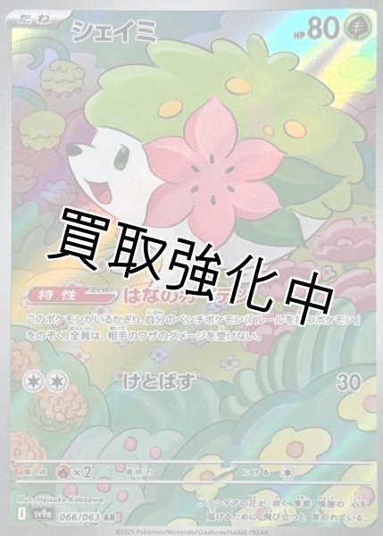 画像1: シェイミ【AR】{066/063} [SV9a] (1)