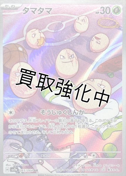 画像1: 【状態B】タマタマ【AR】{065/064} [SV7a] (1)