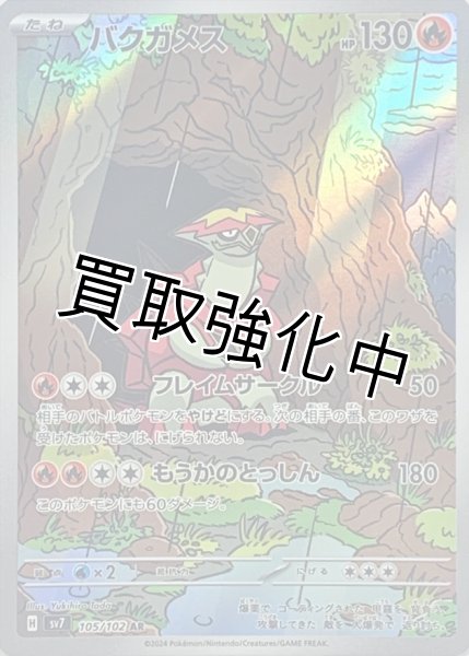 画像1: 【状態B】バクガメス【AR】[sv7](105/102) (1)