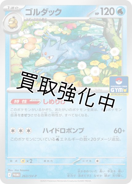 状態B】ゴルダック 【しめりけ】{263/sv-p} [sv10] - カードショップは