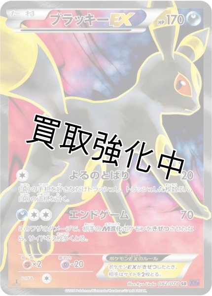 画像1: 【PSA10鑑定済】 ブラッキーEX【SR】{082/078} [XY] (1)