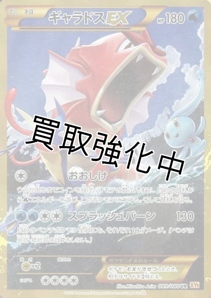 画像1: 【PSA10鑑定済】ギャラドスEX【UR】{089/080} [XY] (1)