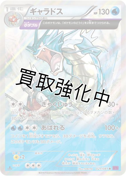 画像1: 【PSA10鑑定済】ギャラドス【R】{021/081} [XY] (1)
