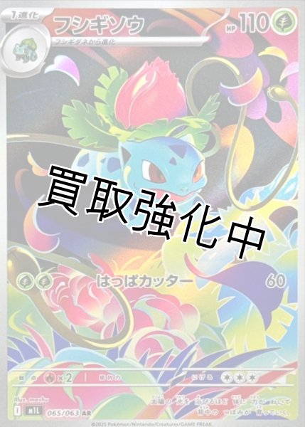 画像1: 【状態B】フシギソウ【AR】{065/063} [M1L] (1)