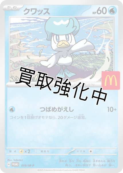 画像1: クワッス【P】{019/M-P} [M-P] (1)