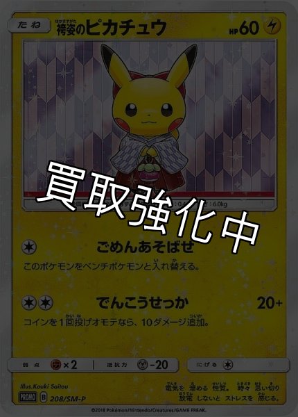 画像1: 【PSA10鑑定済】袴姿のピカチュウ【P】{208/SM-P}  (1)