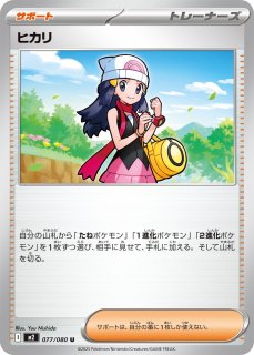 定番ポケカデッキパーツ - カードショップはんじょう