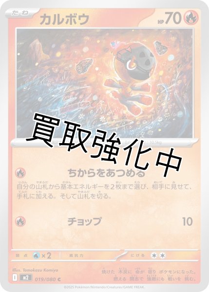 画像1: 【状態B】カルボウ 【C】{019/080} [M2] (1)