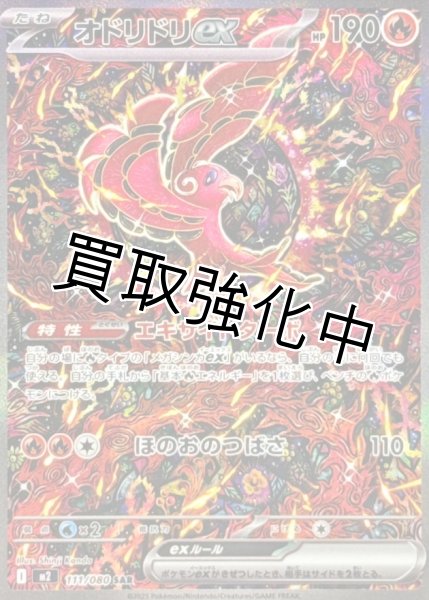 画像1: オドリドリex 【SAR】{111/080} [M2] (1)