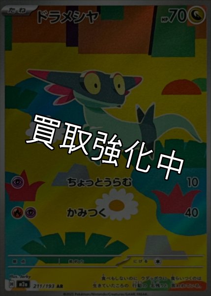 画像1: ドラメシヤ【AR】{211/193} [M2a] (1)