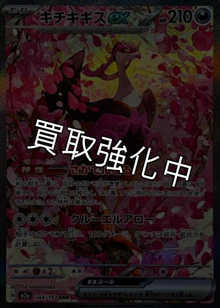 画像1: キチキギスex【SAR】{244/193} [M2a] (1)