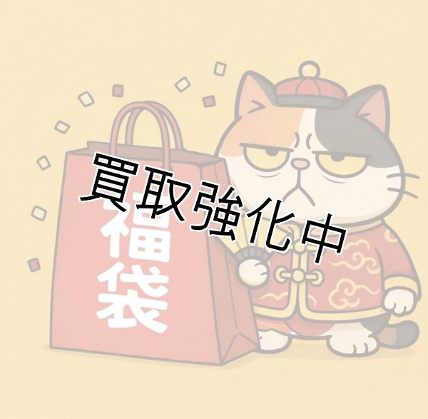 画像1: 【予約販売】 ☆新春☆ 2026年  5500円 福袋 【ポケモンカードゲーム】 (1)