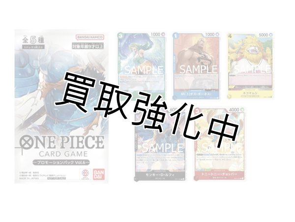 画像1: プロモーションパックVol.6【未開封パック】 (1)
