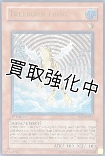 鑑定品（PSA/BGS/その他） - カードショップはんじょう