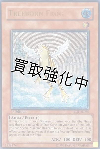画像1: 【PSA10鑑定済】「旧アジア」  黄泉ガエル【レリーフ】{SOI-AE025} (1)