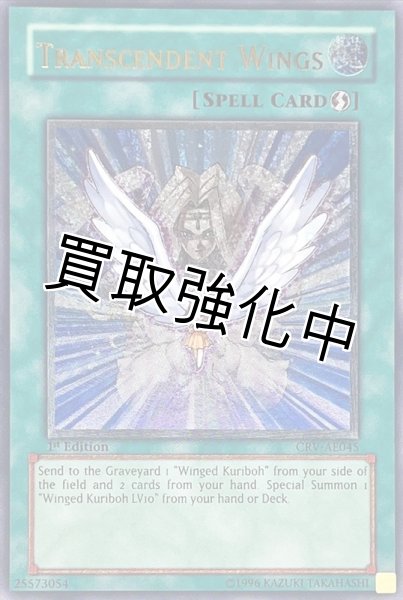 画像1: 【PSA10鑑定済】「旧アジア」進化する翼【レリーフ】{CRV-AE045} (1)