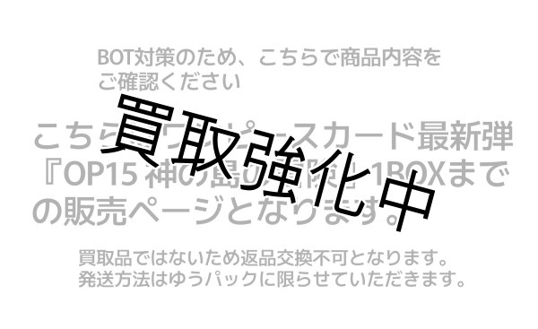 画像1: 画像参照 (1)