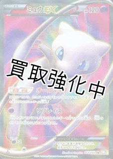 鑑定品（PSA/BGS/その他） - カードショップはんじょう
