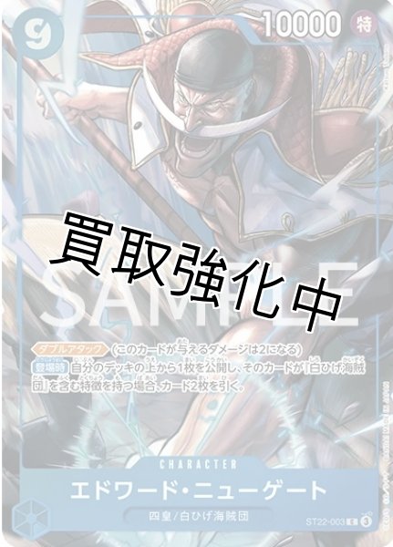 画像1: 【状態B】【プレミアムカードコレクション -6 assort vol.1-】エドワード・ニューゲート【C】《青》［ST22-003］ (1)