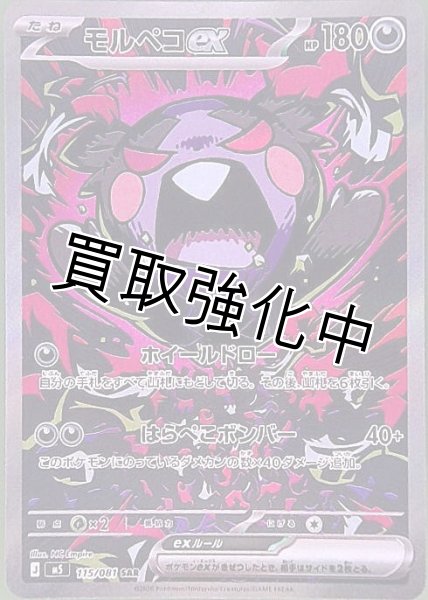 モルペコex【SAR】{115/081} [M5] - カードショップはんじょう