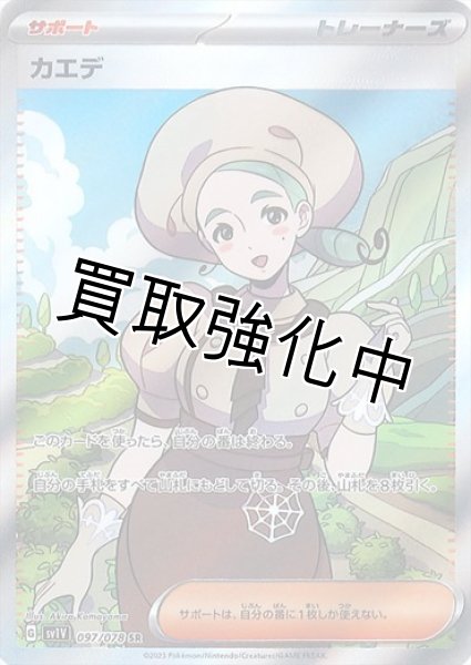 画像1: カエデ(1)【SR】{097/078} [sv1v] (1)