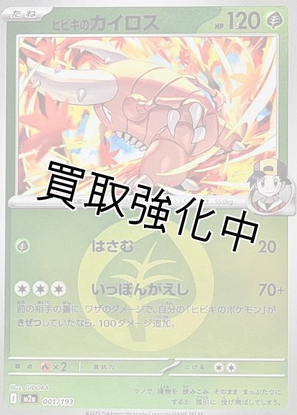 画像1: ヒビキのカイロス(草エネルギーミラー) [M2a]【-】{001/193} (1)