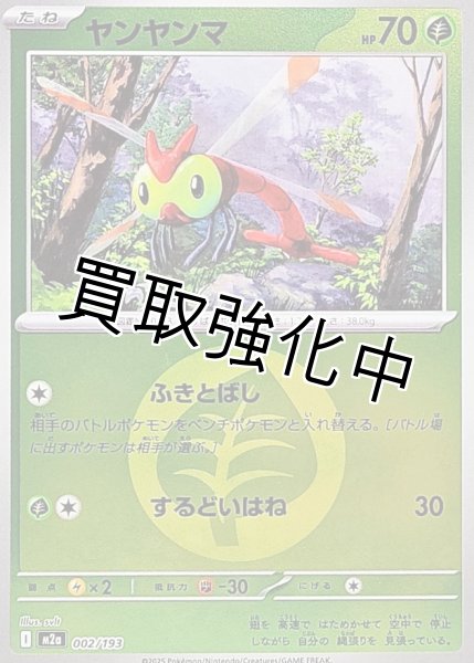 画像1: ヤンヤンマ(草エネルギーミラー) [M2a]【-】{002/193} (1)