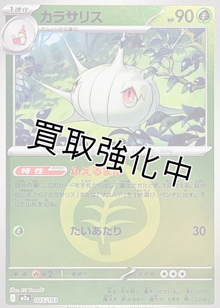 画像1: カラサリス(草エネルギーミラー) [M2a]【-】{005/193} (1)