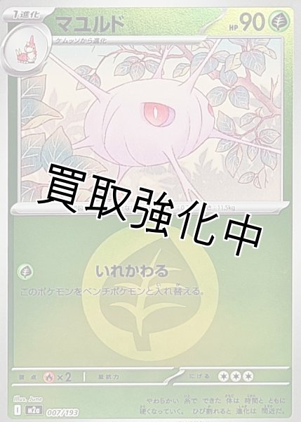 画像1: マユルド(草エネルギーミラー) [M2a]【-】{007/193} (1)