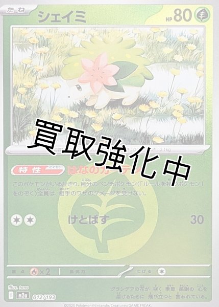 画像1: シェイミ(草エネルギーミラー) [M2a]【-】{012/193} (1)