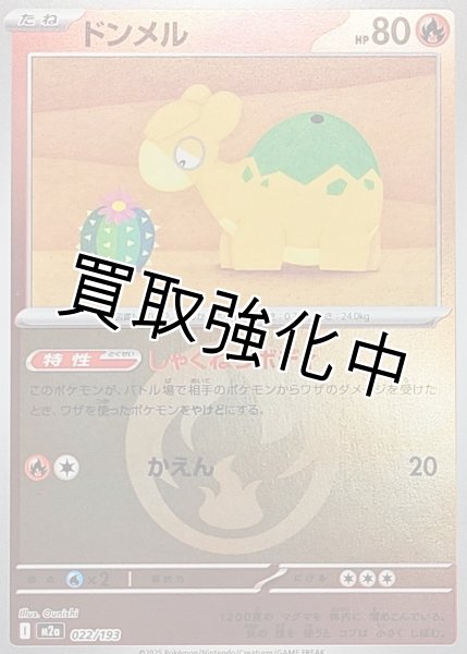 画像1: ドンメル(炎エネルギーミラー) [M2a]【-】{022/193} (1)