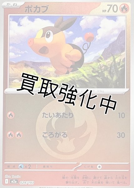 画像1: ポカブ(炎エネルギーミラー) [M2a]【-】{024/193} (1)