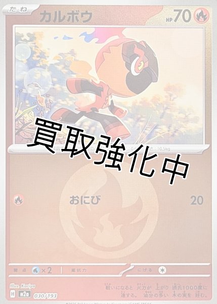 画像1: カルボウ(炎エネルギーミラー) [M2a]【-】{030/193} (1)