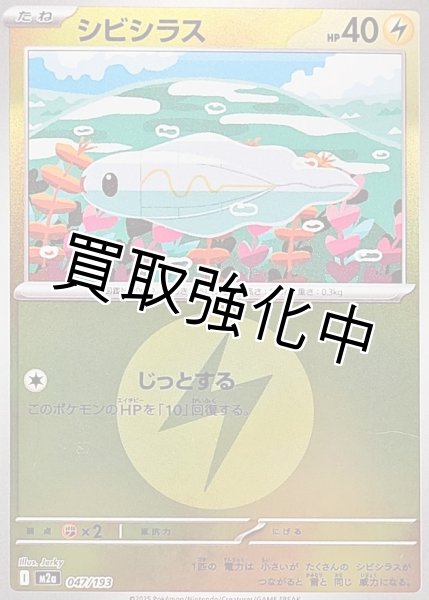 画像1: シビシラス(雷エネルギーミラー) [M2a]【-】{047/193} (1)