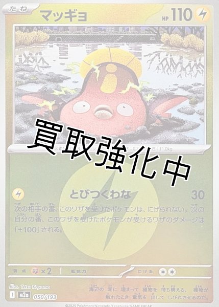 画像1: マッギョ(雷エネルギーミラー) [M2a]【-】{050/193} (1)