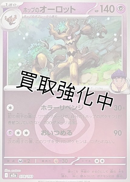 画像1: ホップのオーロット(超エネルギーミラー) [M2a]【-】{078/193} (1)