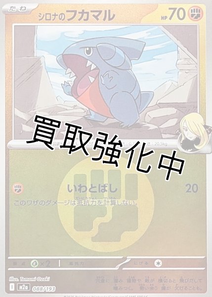 画像1: シロナのフカマル(闘エネルギーミラー) [M2a]【-】{088/193} (1)