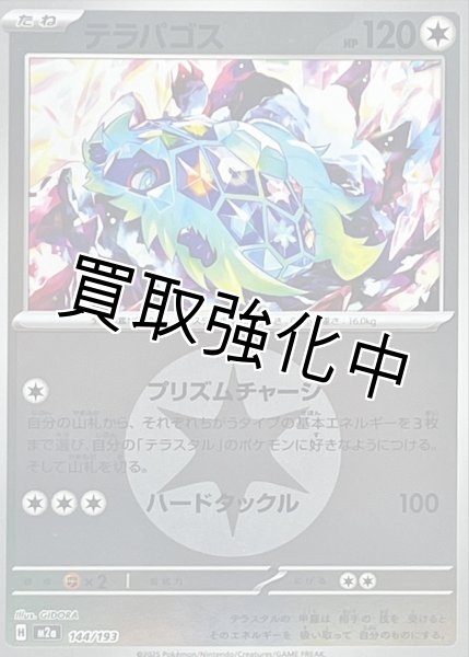 画像1: テラパゴス(無色エネルギーミラー) [M2a]【-】{144/193} (1)