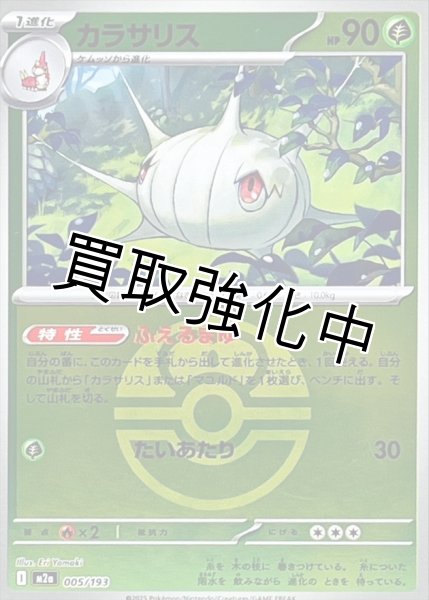 画像1: カラサリス(ラブラブボールミラー) [M2a]【-】{005/193} (1)