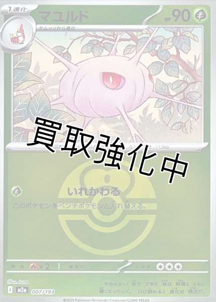 画像1: マユルド(ラブラブボールミラー) [M2a]【-】{007/193} (1)