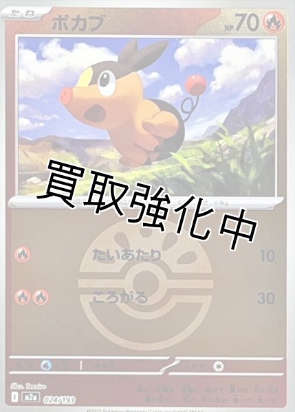 画像1: ポカブ(フレンドボールミラー) [M2a]【-】{024/193} (1)