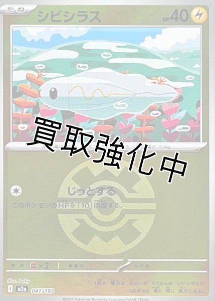 画像1: シビシラス(クイックボールミラー) [M2a]【-】{047/193} (1)