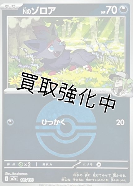 画像1: Nのゾロア(モンスターボールミラー) [M2a]【-】{111/193} (1)