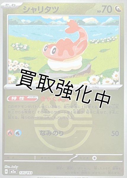 画像1: シャリタツ(フレンドボールミラー) [M2a]【-】{135/193} (1)