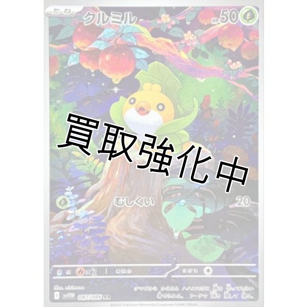 画像1: クルミル【AR】{087/086}[SV11W] (1)