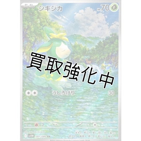 画像1: シキジカ【AR】{091/086}[SV11W] (1)