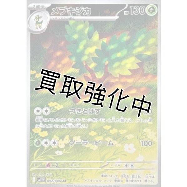 画像1: メブキジカ【AR】{092/086}[SV11W] (1)